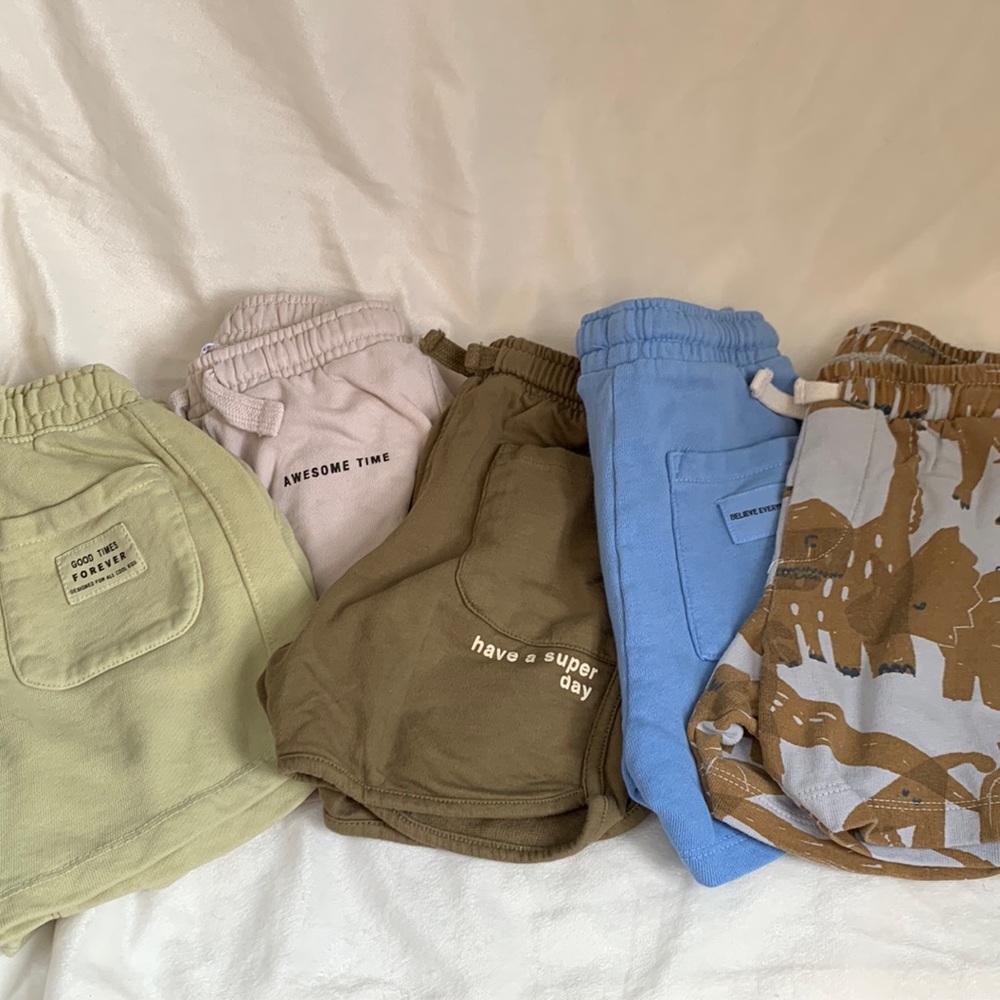 Zara Shorts